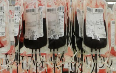 STF decidirá se testemunha de Jeová tem direito de negar transfusão de sangue