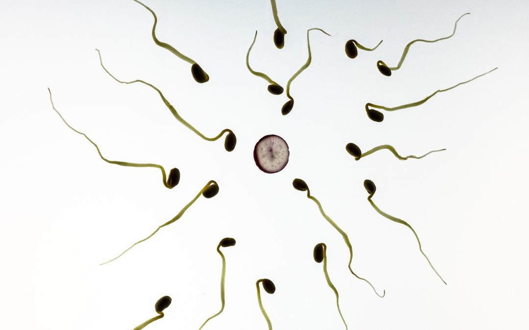 STJ deve colocar ponto final na discussão sobre a cobertura de fertilização in vitro