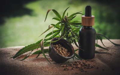 Conselho Federal de Medicina Veterinária publica orientações para o uso de cannabis por Médicos Veterinários